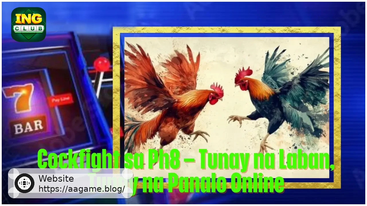 Cockfight on AAGAME Real Time Action and Online Betting